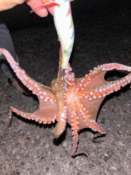 オクトパッシング