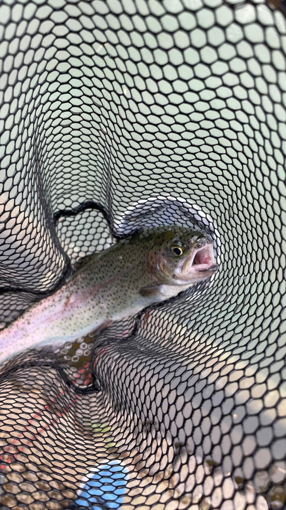 ようやくコツがわかった気がする(苦笑)