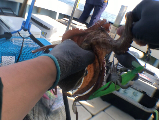 浅場でもキロアップ!