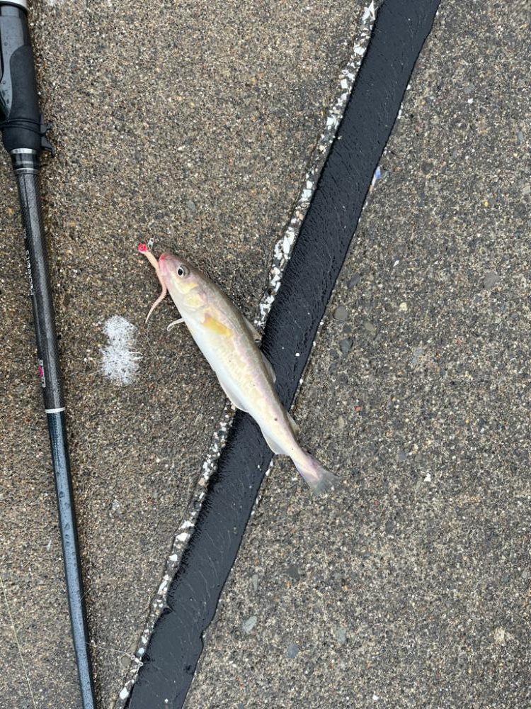 超短時間の挑戦、海