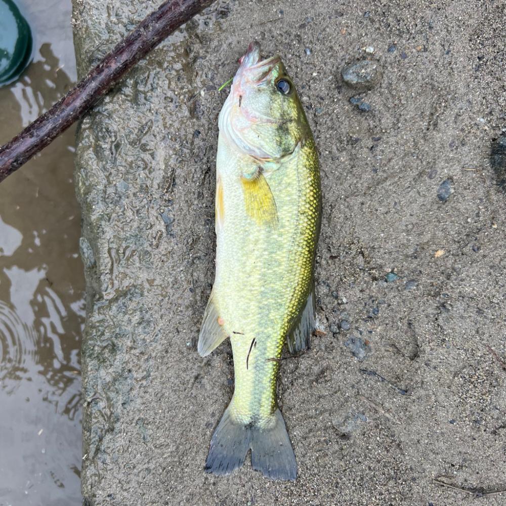 初フィールド⚡️