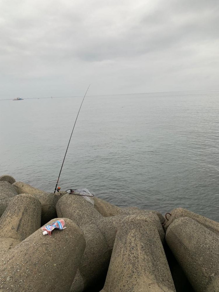 青物まだイケる