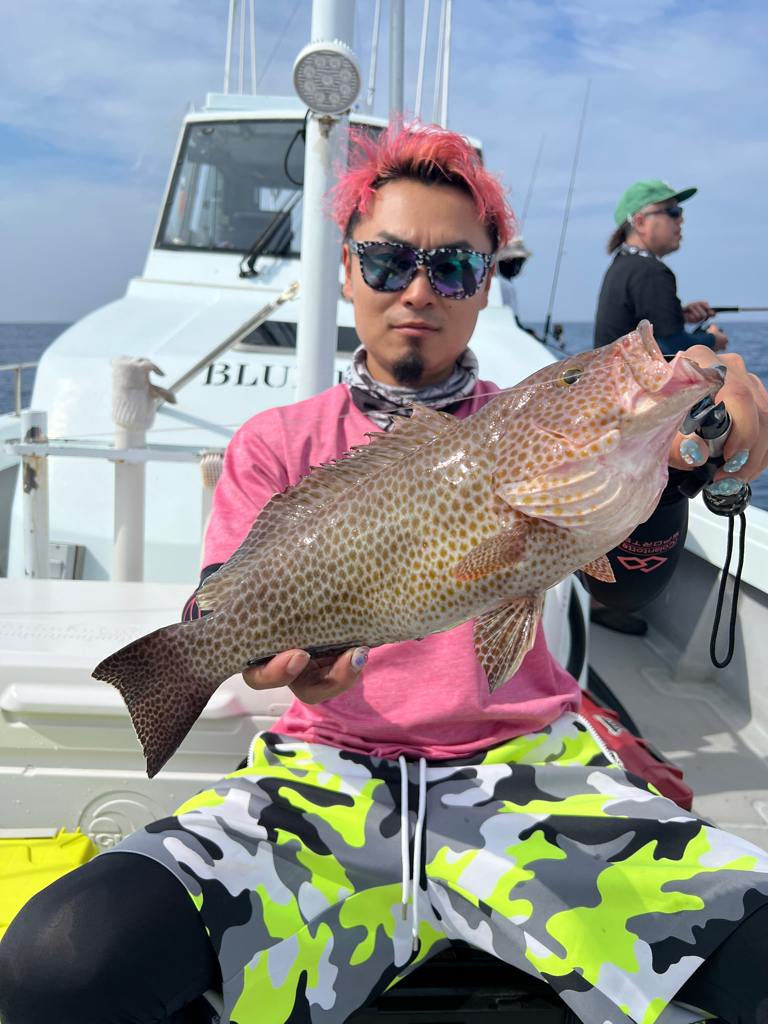 今が旬のSLJでイサキ