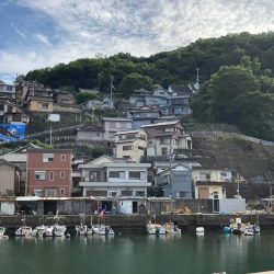 ん?あきらめムードからのイカパンチ!