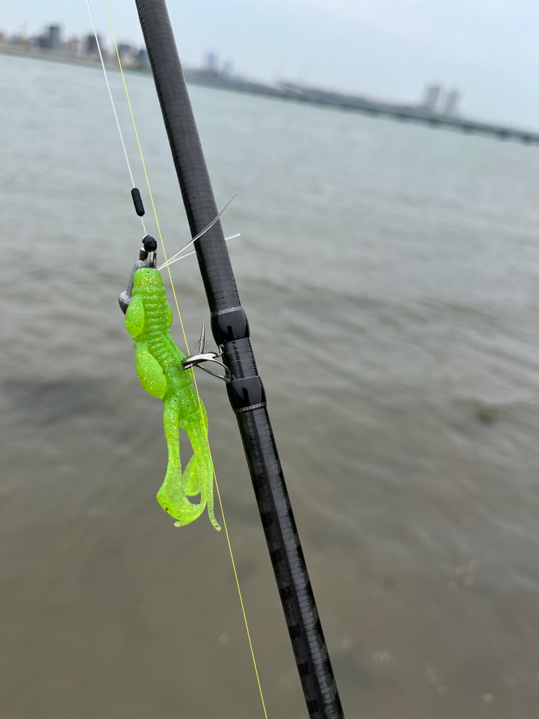 今日はボトムオンリーで!