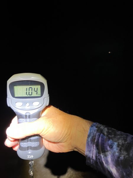 エギング記録更新