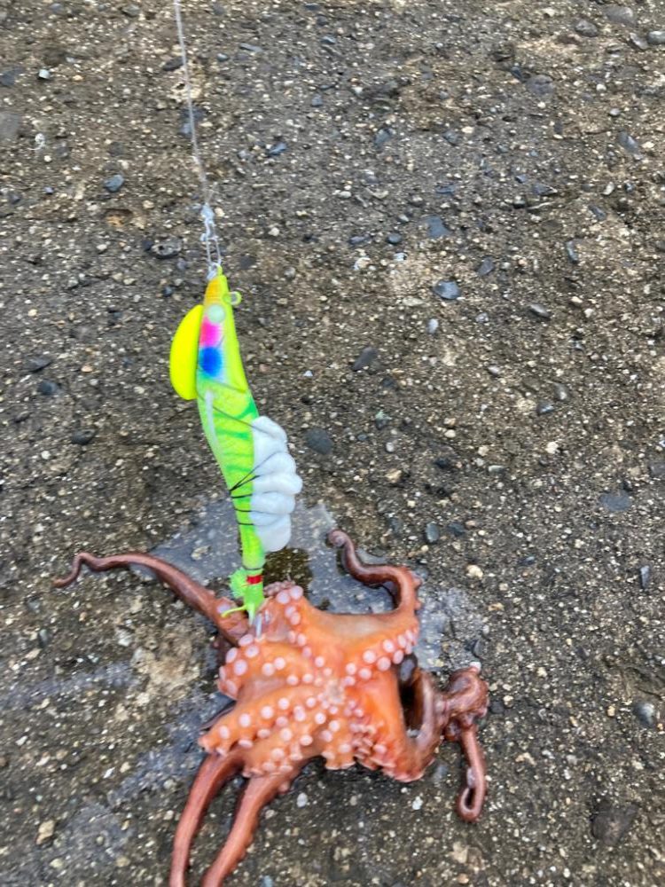 ⭐︎心地よいかをり