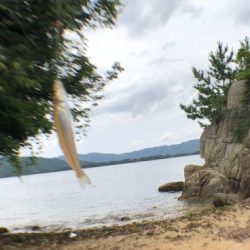 毎投当たりで楽しい過ぎ。