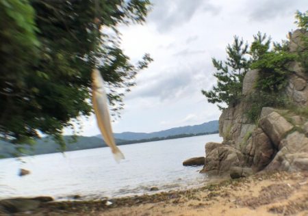 毎投当たりで楽しい過ぎ。