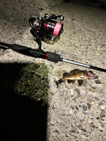 今期最後のメバルを求めて