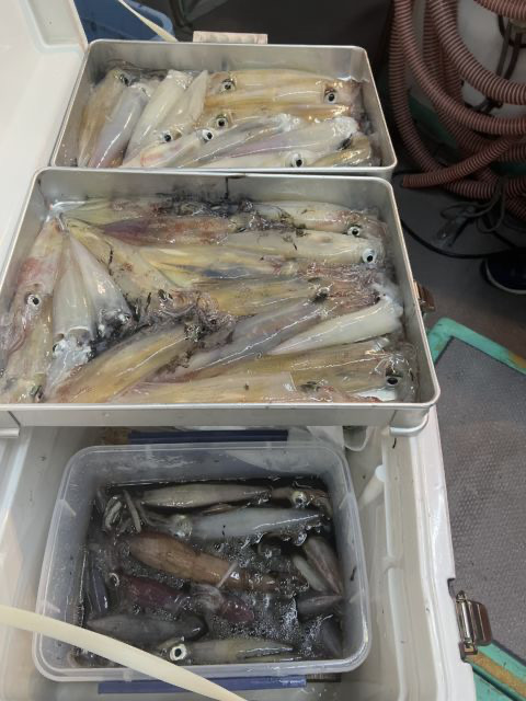 久しぶりのイカメタル