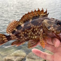 雨上がり調査に！