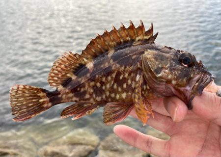 雨上がり調査に！