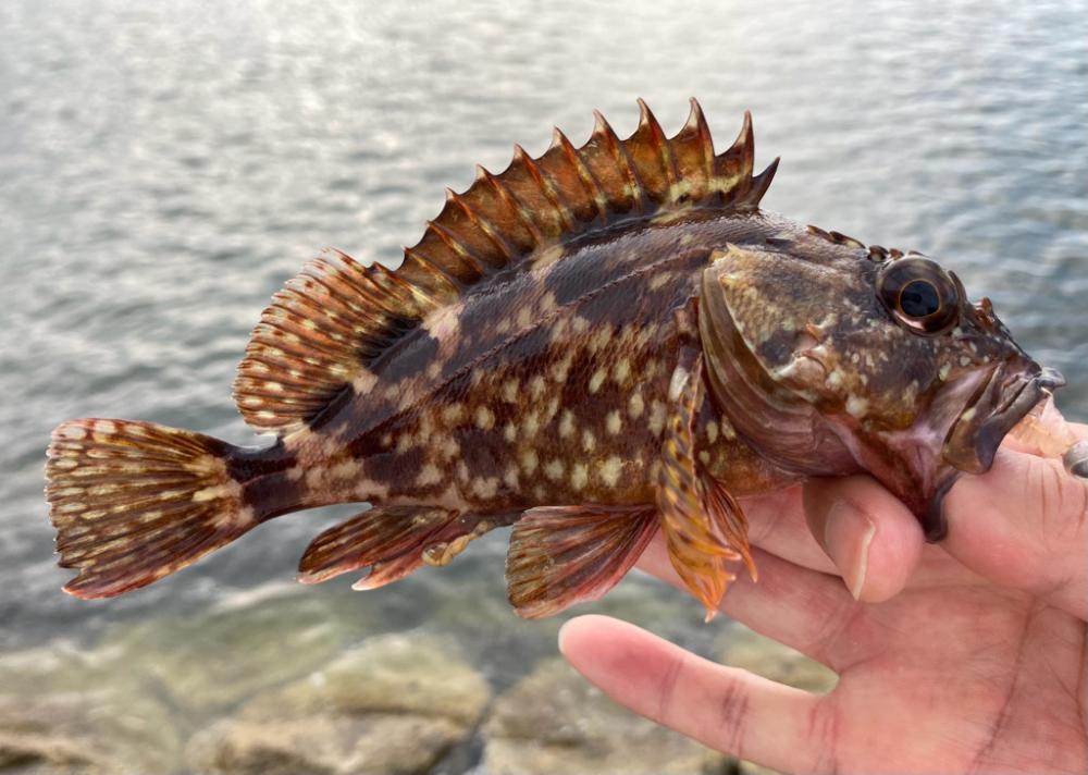 雨上がり調査に!