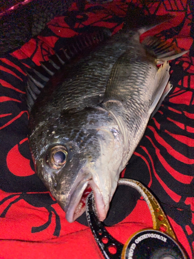 ヘチってきました