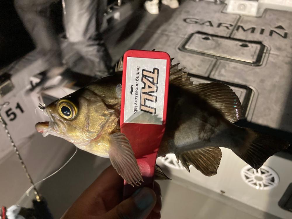 ボートメバリング