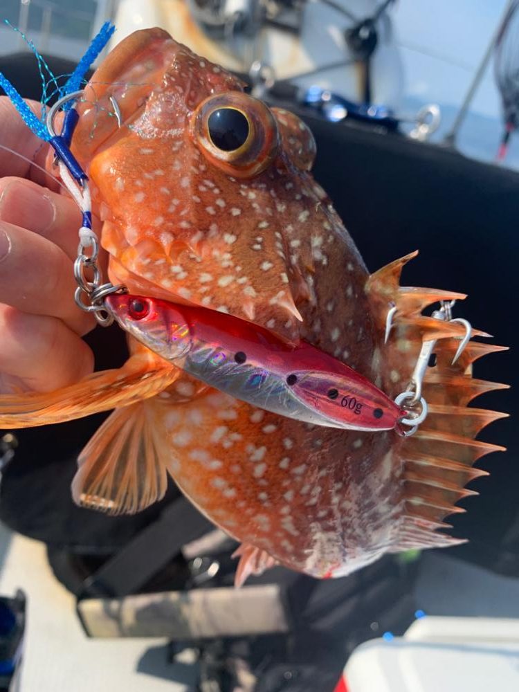 やっぱりSLJおもろい〜