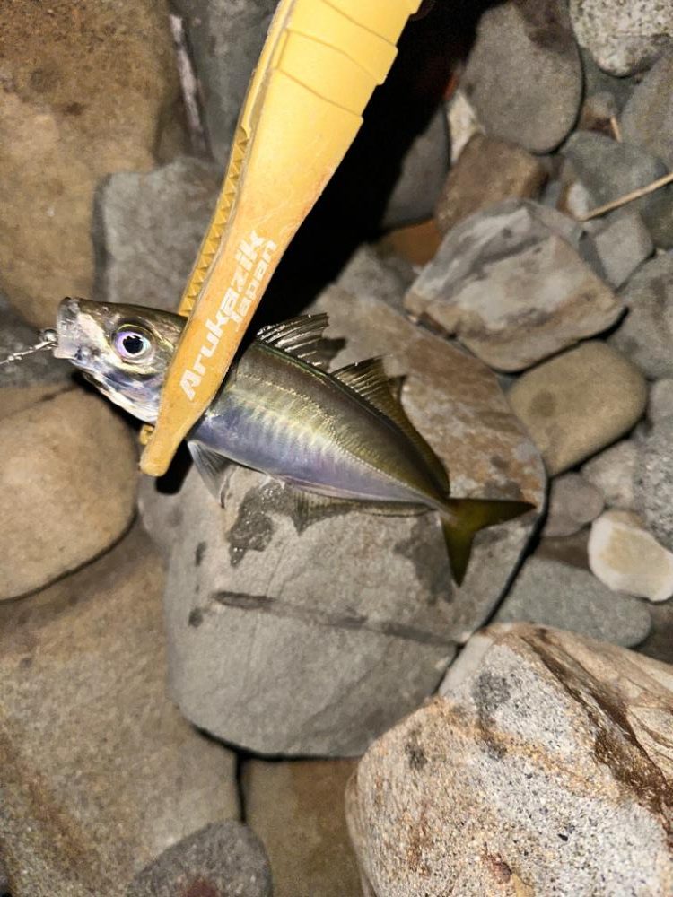 久しぶりのフロートゲーム