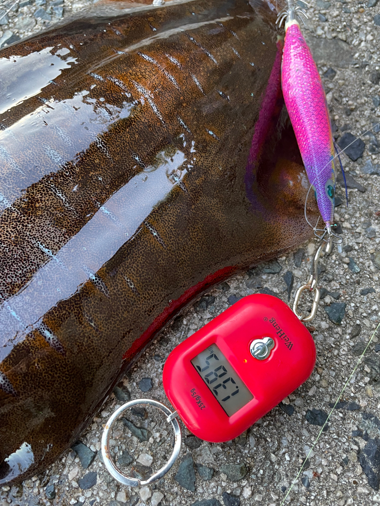 ワンチャンありました