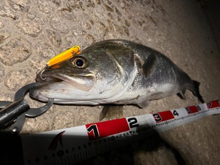 銀ピカファイター