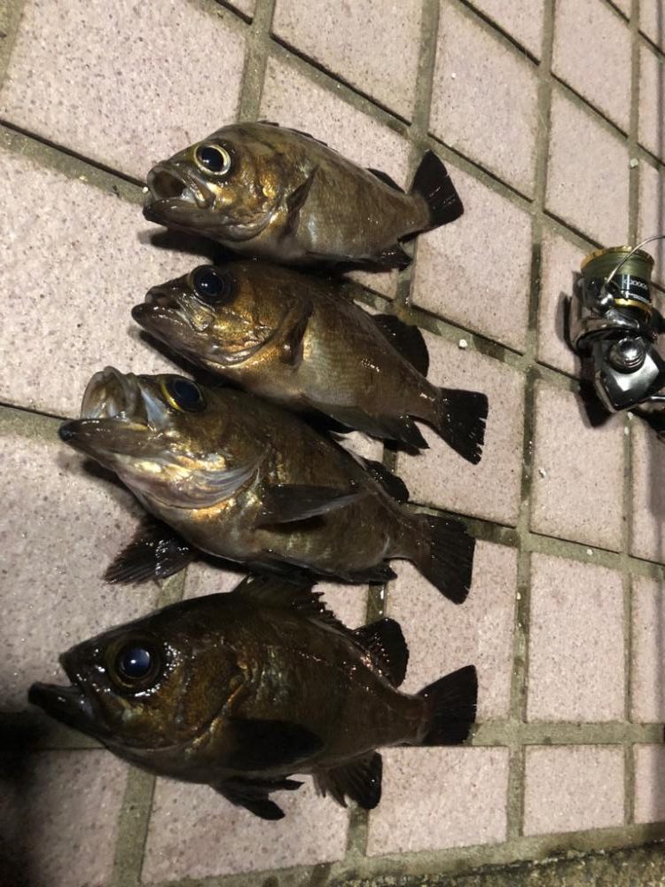 メバリング3days最終日