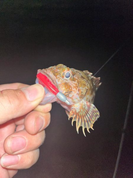 夜ライトゲーム