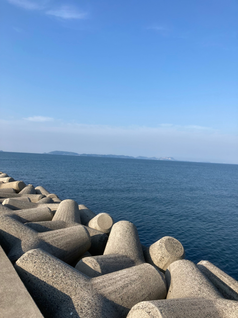 アオリイカはどこ?