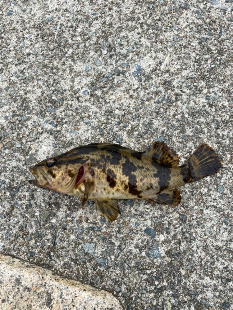 キスゲーム　ちょい投げ