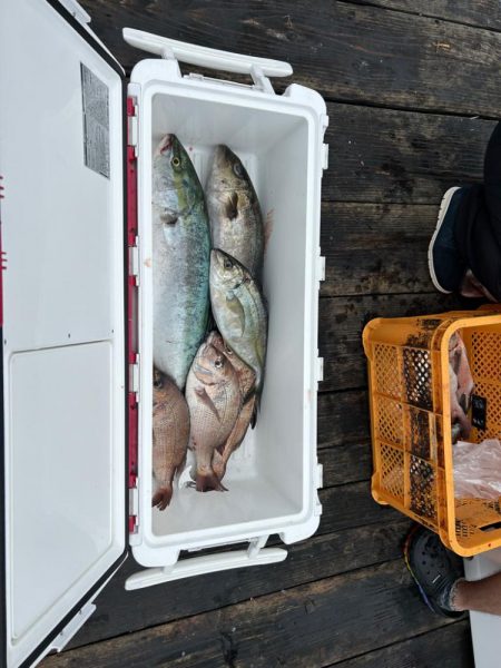 海上釣り堀　紀州