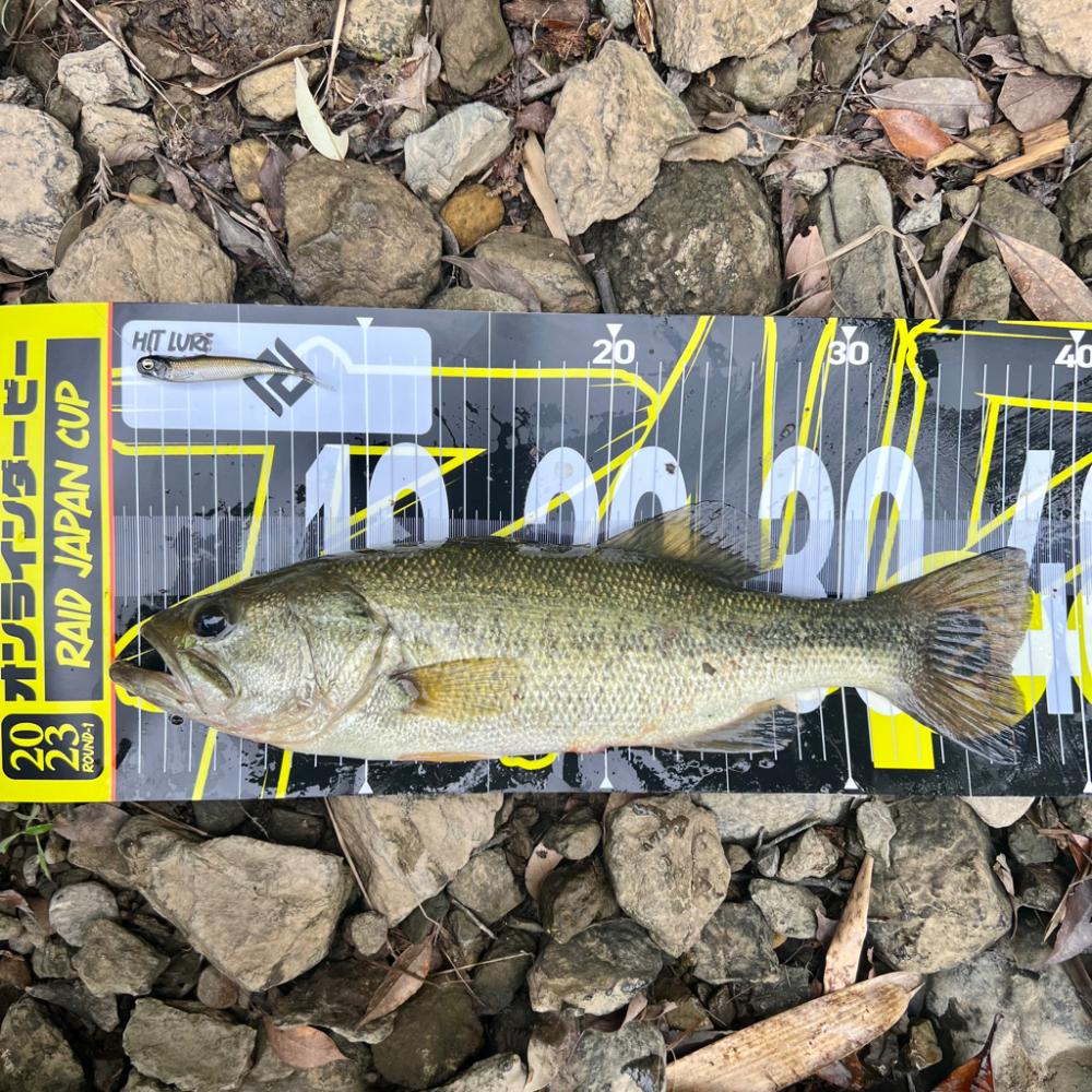 岩盤エリアでの一本🔥