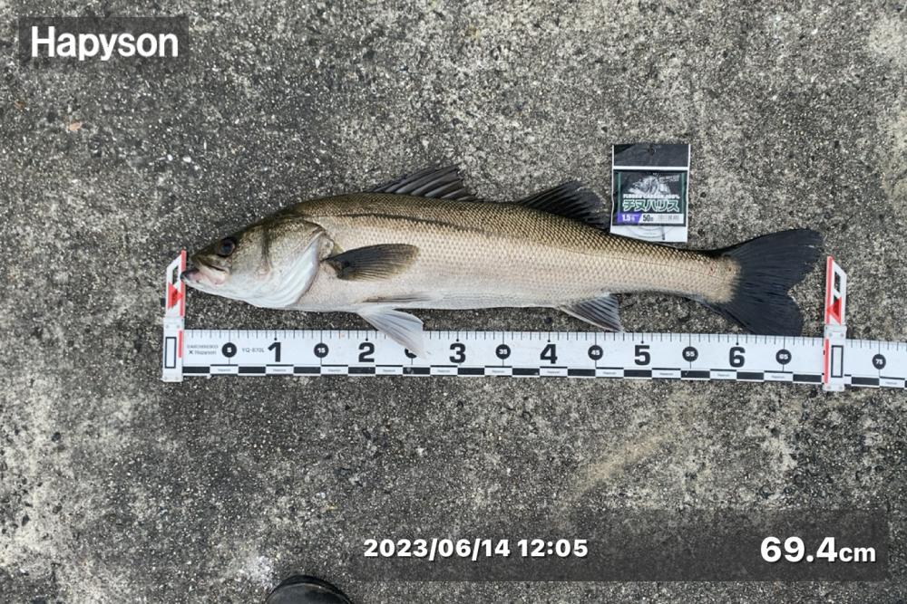 少し雨が降る中からスタート