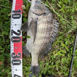 チニング祭り開幕♪