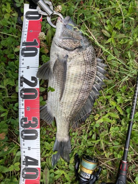 チニング祭り開幕♪