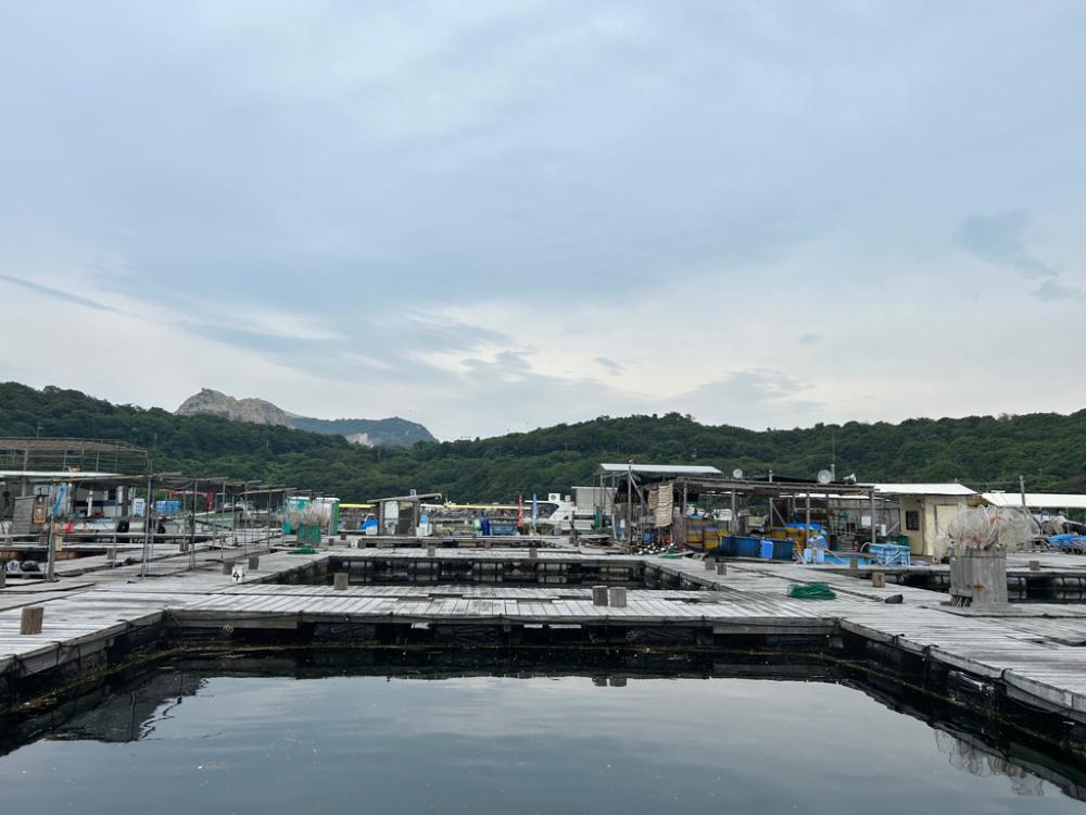 海上釣り堀　海恵