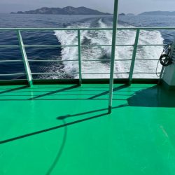 春アオリ狙い撃沈!ルアー投げたらハマチゲット!!