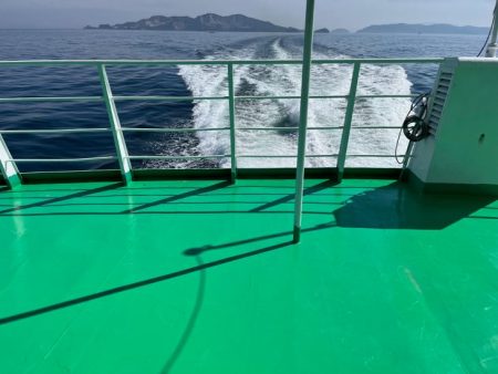 春アオリ狙い撃沈!ルアー投げたらハマチゲット!!