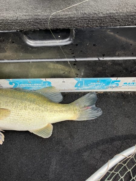 矢橋帰帆島沖46cm