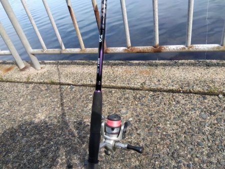 ちょい投げシロギス