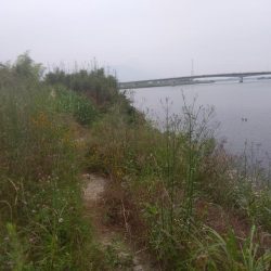 なんとついてるんだ、リミットメイク！