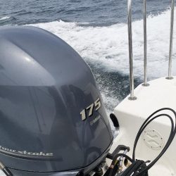 ボチボチ釣れました🦑