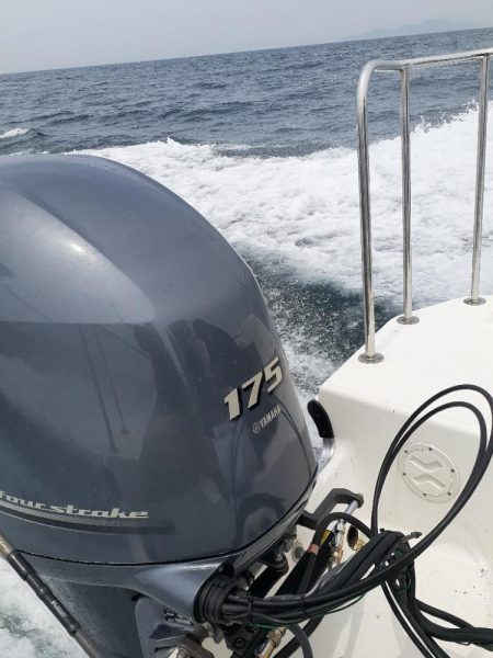 ボチボチ釣れました🦑