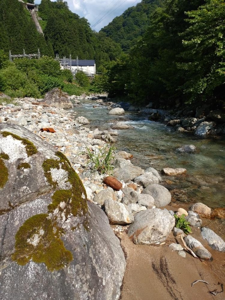 イワナ1匹！（お）