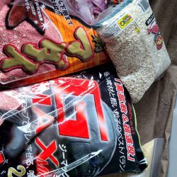 和歌山市江(吉丸渡船)でグレ釣り