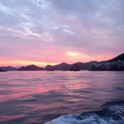 和歌山大引の磯でフカセ釣りのはずが・・