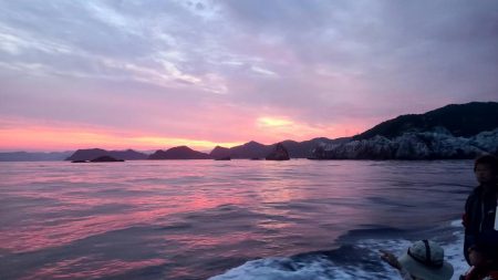 和歌山大引の磯でフカセ釣りのはずが・・