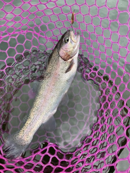 釣食浪漫 ～釣って食べて家庭円満～