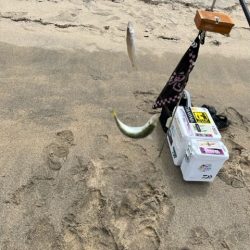 晴天でキスも釣れて大満足でした