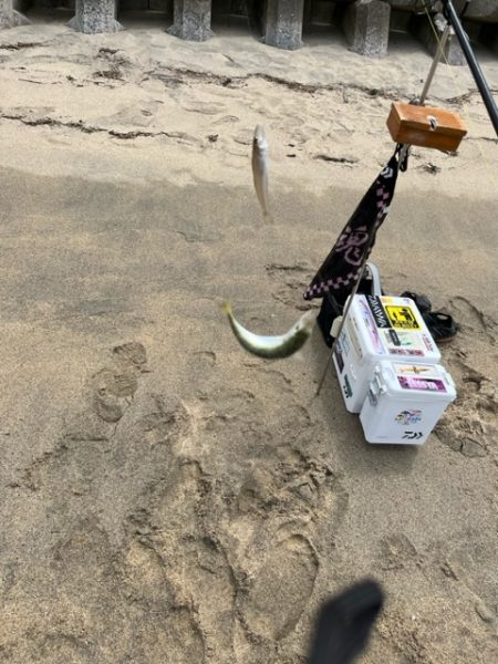 晴天でキスも釣れて大満足でした