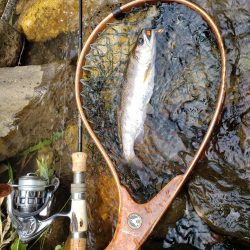 リベンジならず