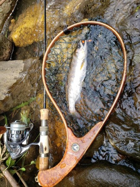 リベンジならず